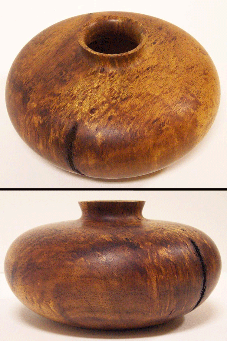 hf06 Black Acacia