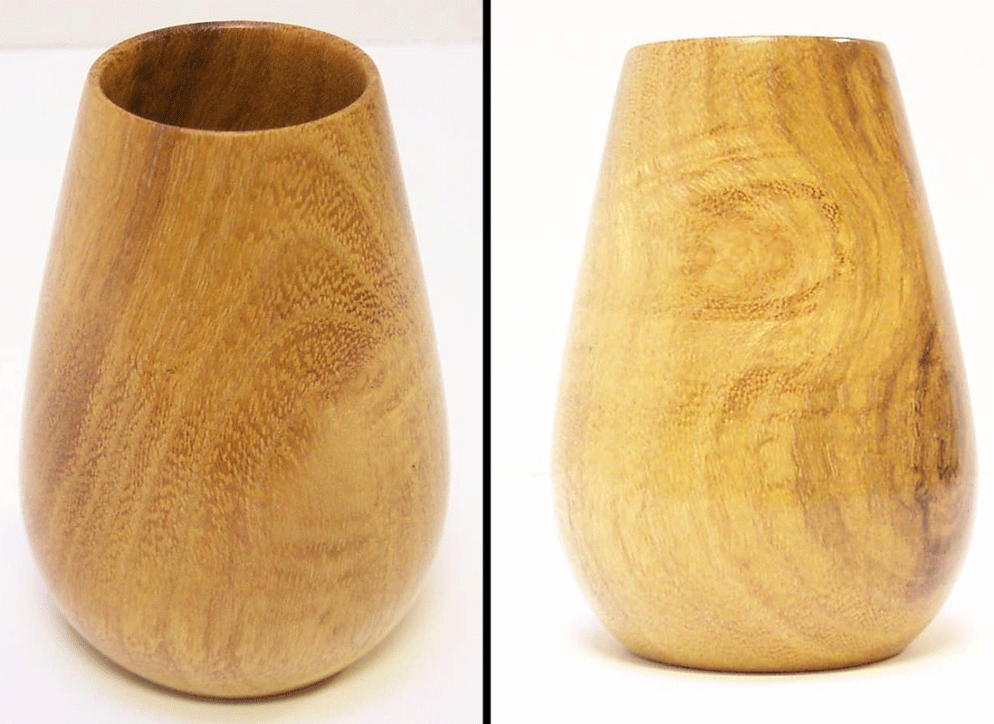 hf12 Honey Locust